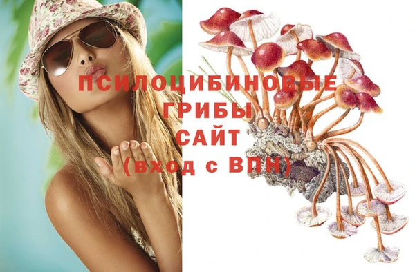 apvp Алексин