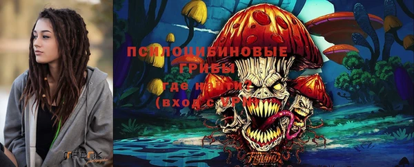 тгк Алексеевка